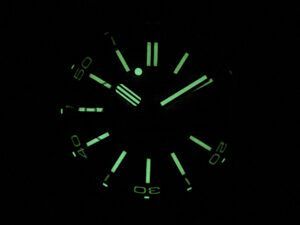 Royal Oak Offshore Diver Forged Carbon IPF Best Edition on Rubber Strap MIYOTA 9019 - Image 28